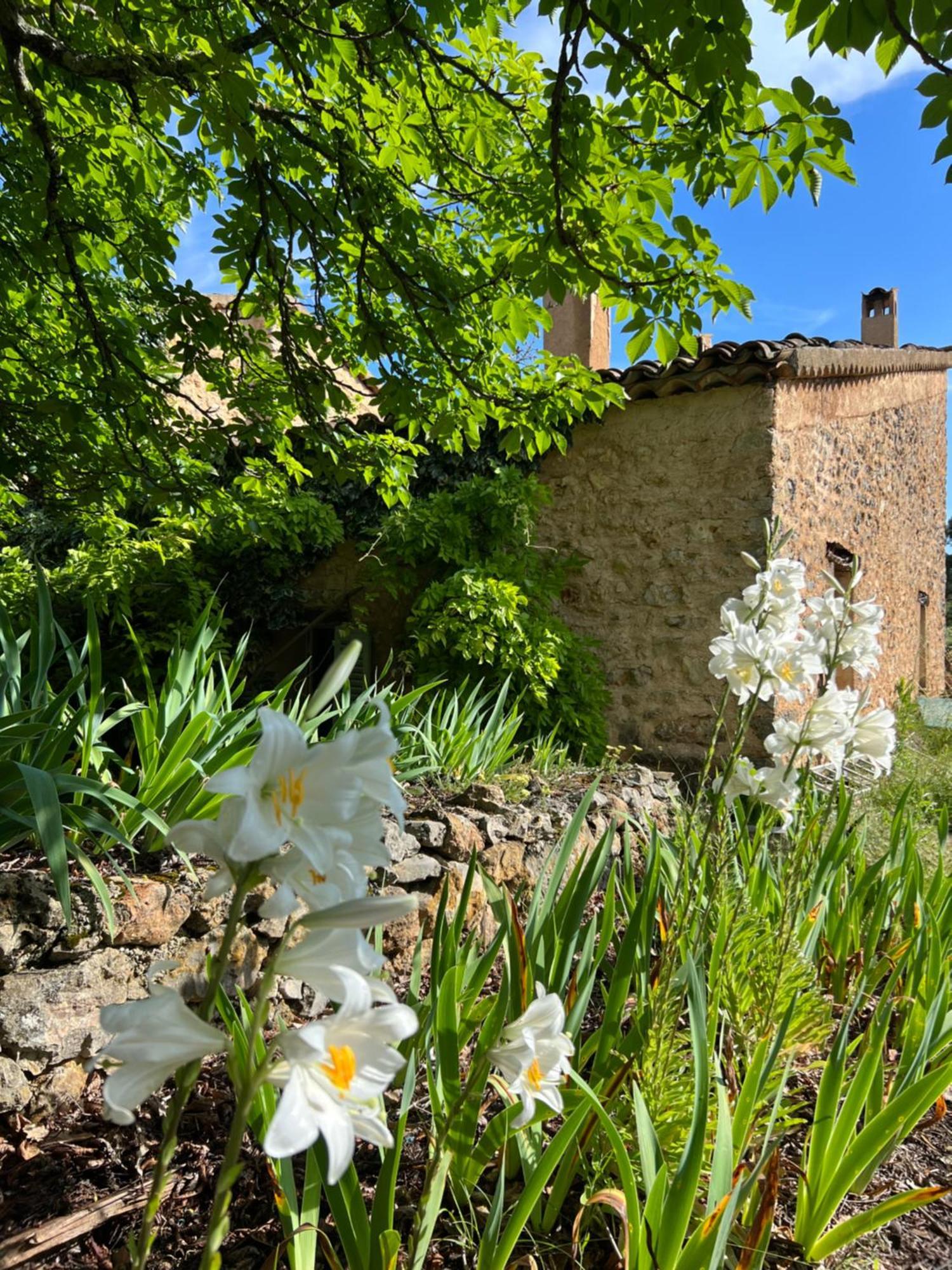 Charmant Appartement Independant Au Sein D'Un Mas Provencal أوبس المظهر الخارجي الصورة